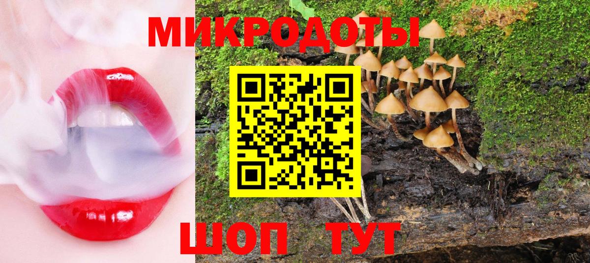 Соль-Илецк  Псилоцибиновые грибы мицелий  Вход с VPN 