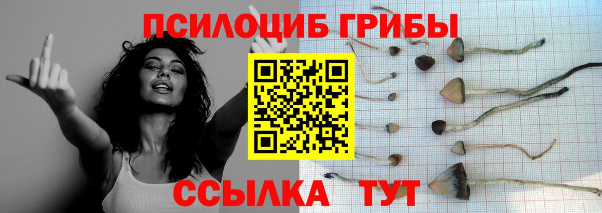 Галлюциногенные грибы мицелий Соль-Илецк